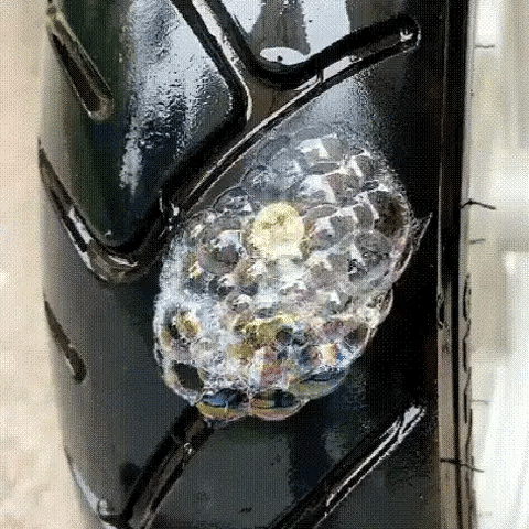 Quick Tire Repair Rubber Nail