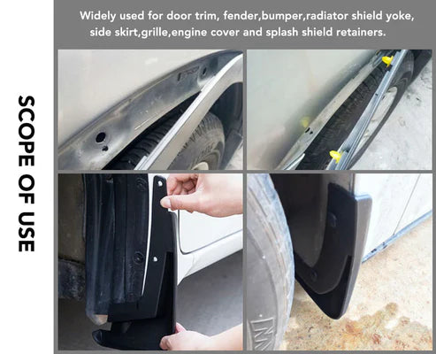 Car Fastener Box Set