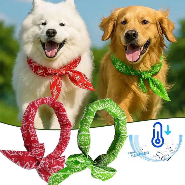 ⏰Summer Pet Cooling Collar Wrap