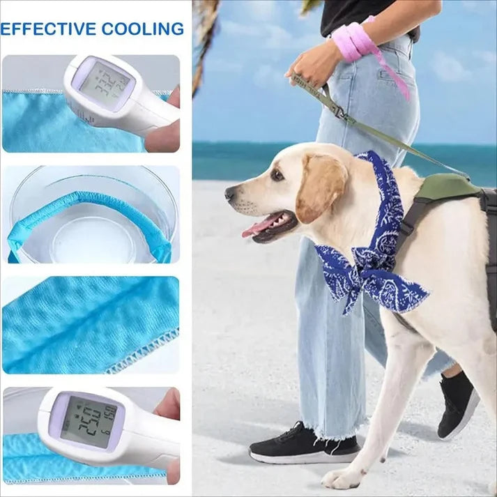 ⏰Summer Pet Cooling Collar Wrap