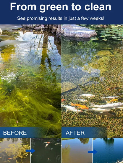 🌿 Crystal Clarity Without Harsh Chemicals. Safe for Fish, Shrimp, Crabs & Shellfish. Limited Offer!