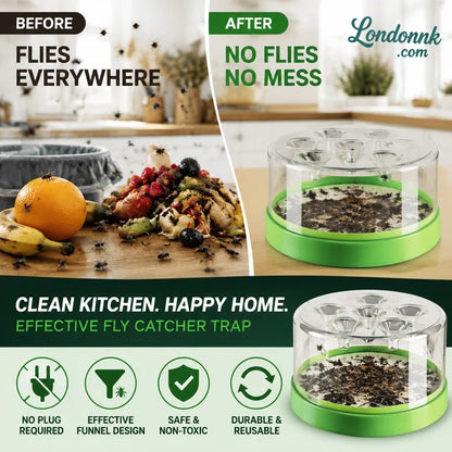 🏠 Reusable Fly Trap – No electricity, no poison & safe for kids & pets – Effective fly control anywhere in your home 🍃