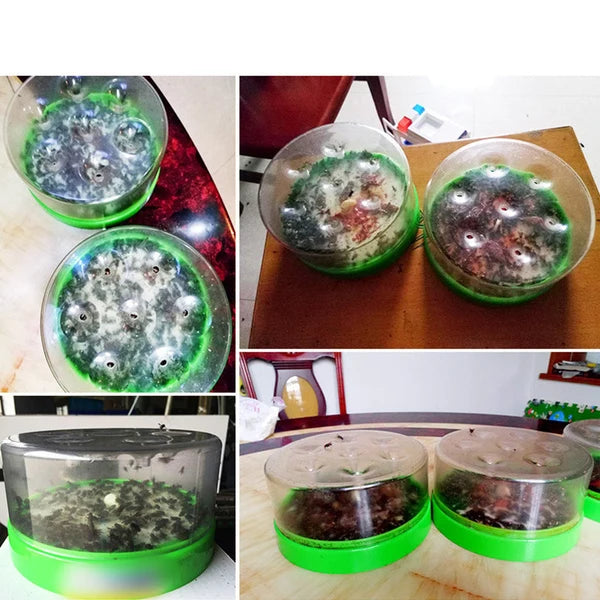 🏠 Reusable Fly Trap – No electricity, no poison & safe for kids & pets – Effective fly control anywhere in your home 🍃