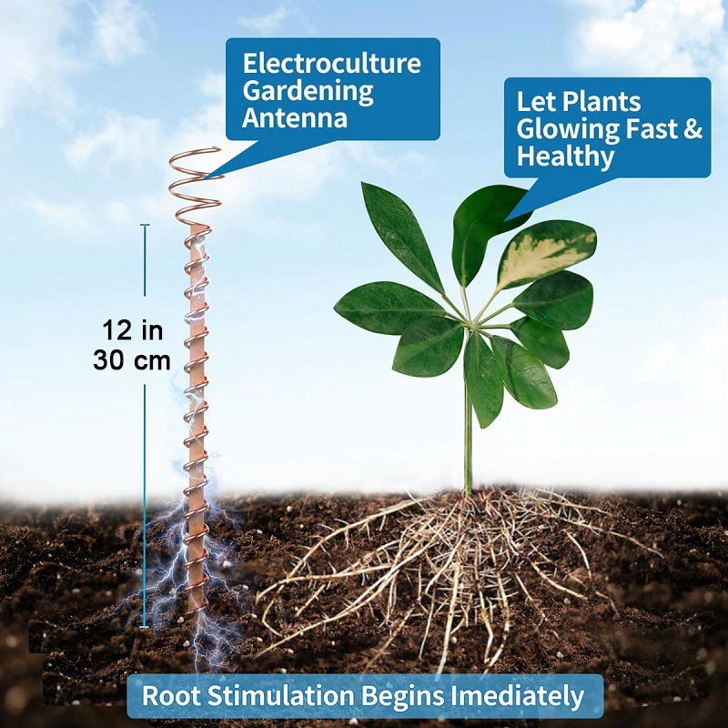 Electro Culture Copper Antenna